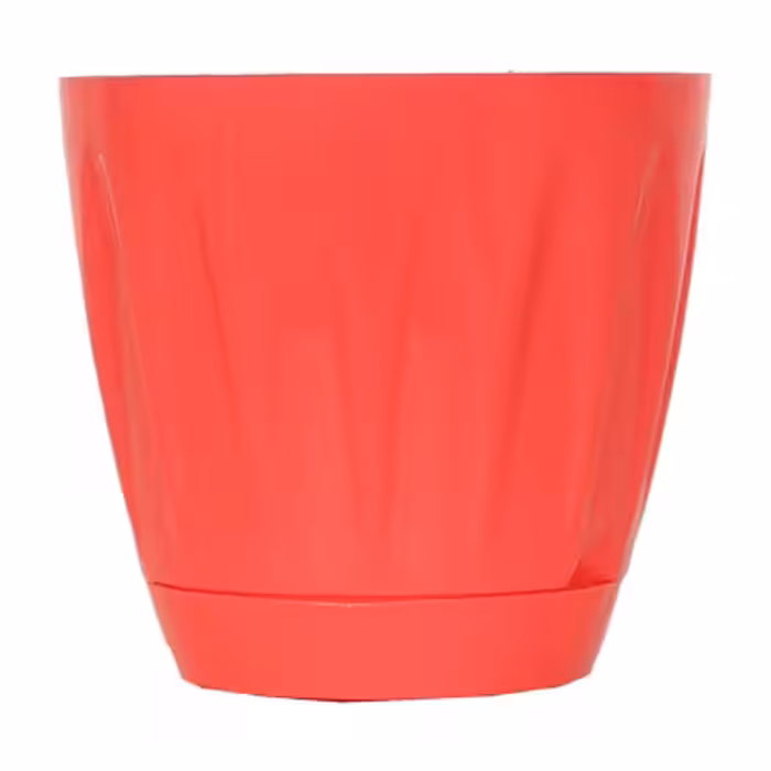 گلدان هلندی