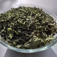 نعناخشک برگ250گرمی