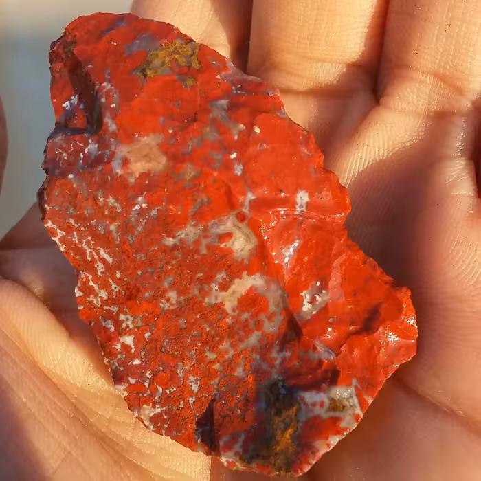 سنگ راف جاسپر منظره سرخ 100 در 100 طبیعی خاص بی نظیر

کد 8308