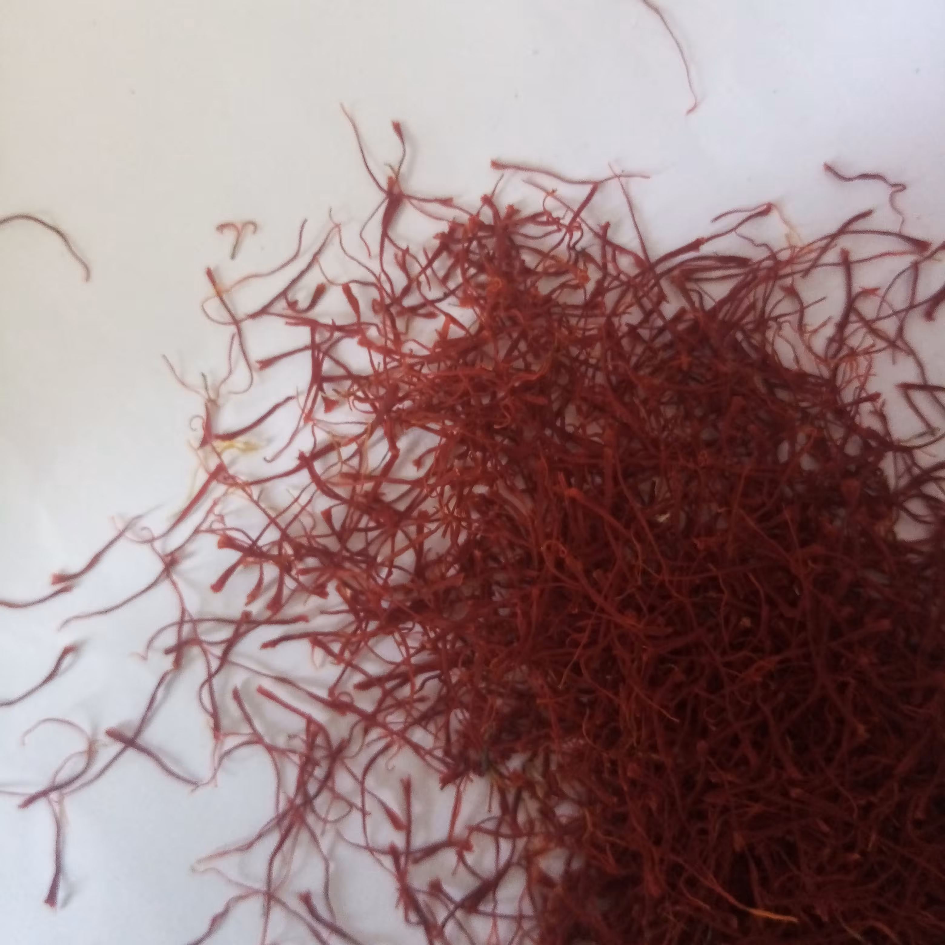 زعفران با کیفیت بالا و مناسب برای هر چیز 