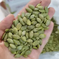 مغز تخمه کدو تازه و درجه یک (نیم کیلو)