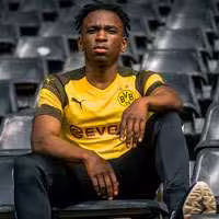 تی شرت تیم دورتموند آستین کوتاه فصل 2019-2018