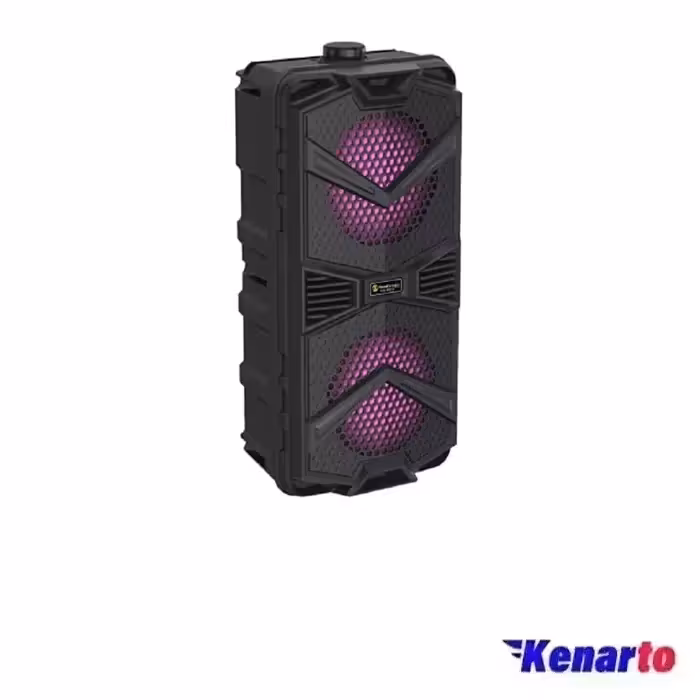 اسپیکر بلوتوثی قابل حمل نیوریکسینگ مدل 5501B