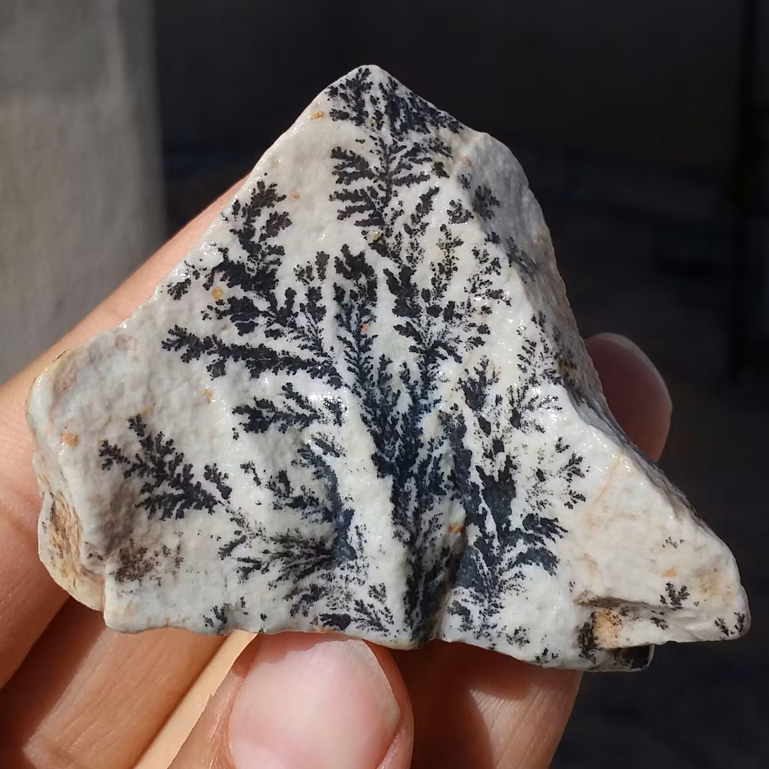 سنگ راف 100 در 100 طبیعی شجر دندریتی یا فسیلی محشر خاص شاهکار خلقت
شجر واضح خاااااااااص

کد 10096