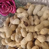 بادام زمینی غلافدترامساله