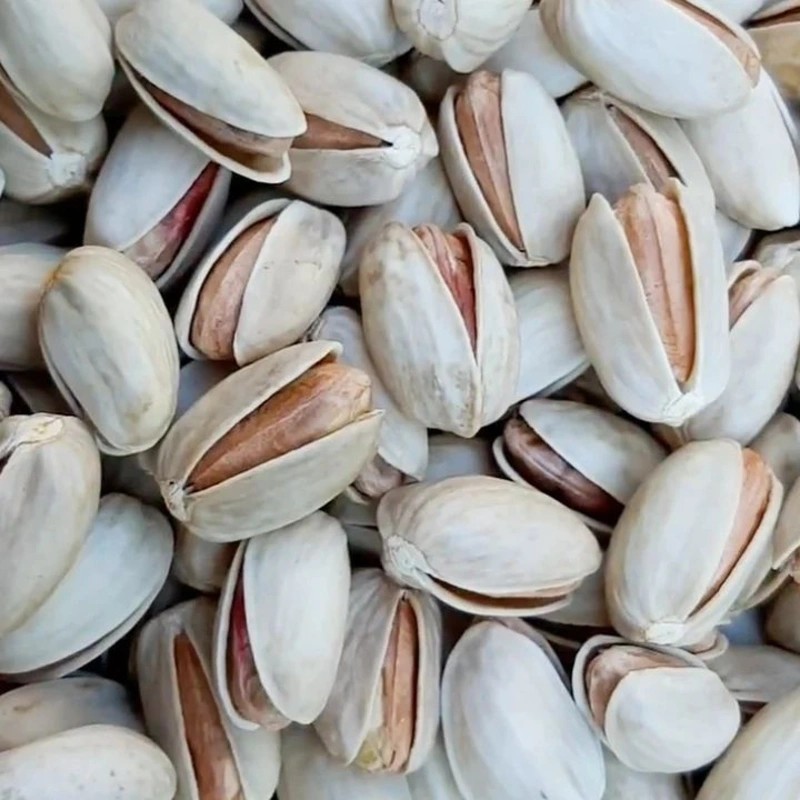 پسته درجه یک اکبری