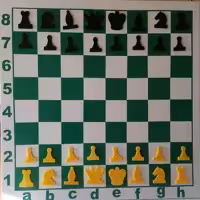 تابلو نمایش آموزش شطرنج 