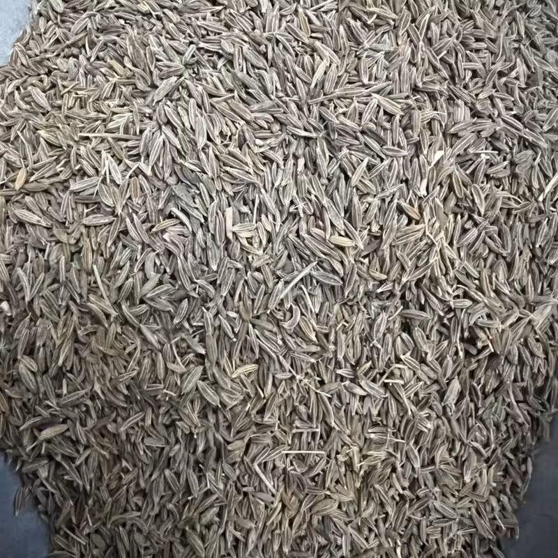 زیره سبز  سورت 250 گرم 100 هزار تومان نیم کیلو 195 هزار تومان یک کیلو 390 هزار تومان