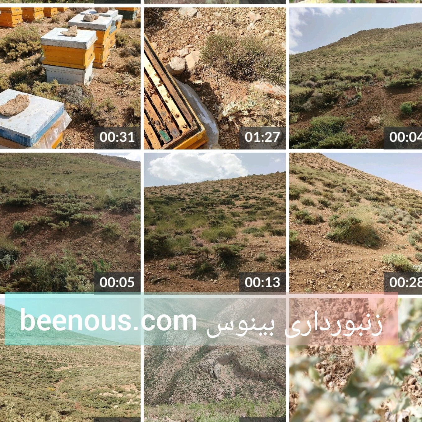 عسل 100 درصد طبیعی کوهستان های سمیرم (یک کیلویی)
