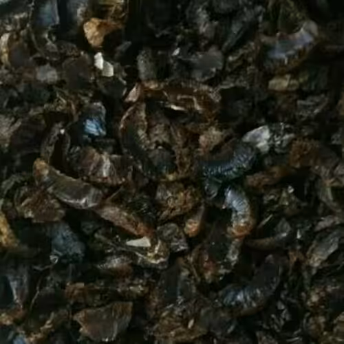 پر لیمو عمانی لوکس خارجی صادراتی درشت فوق العاده خوش طعم 