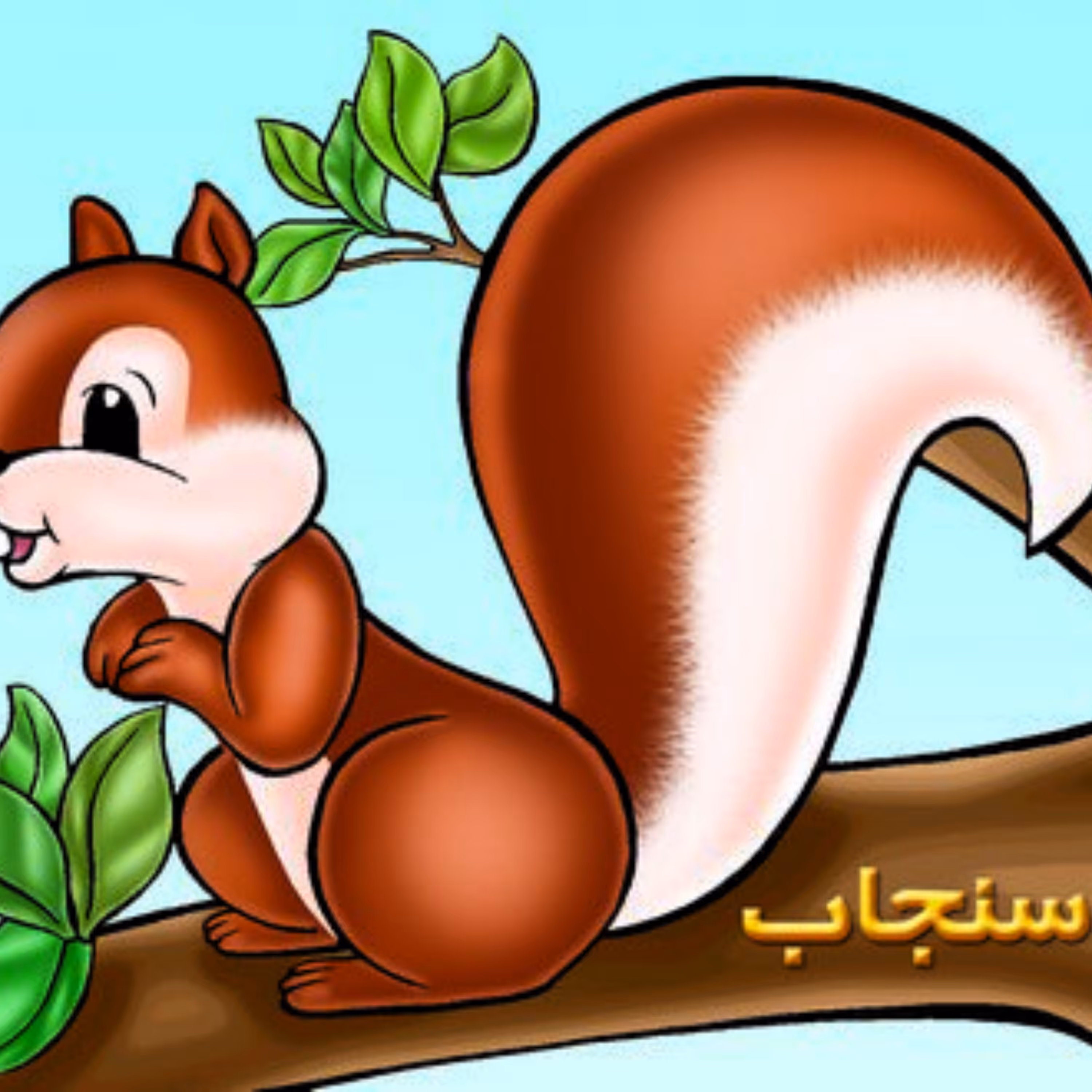 کتاب آموزش حیوانات سنجاب (حیوانات مزرعه)