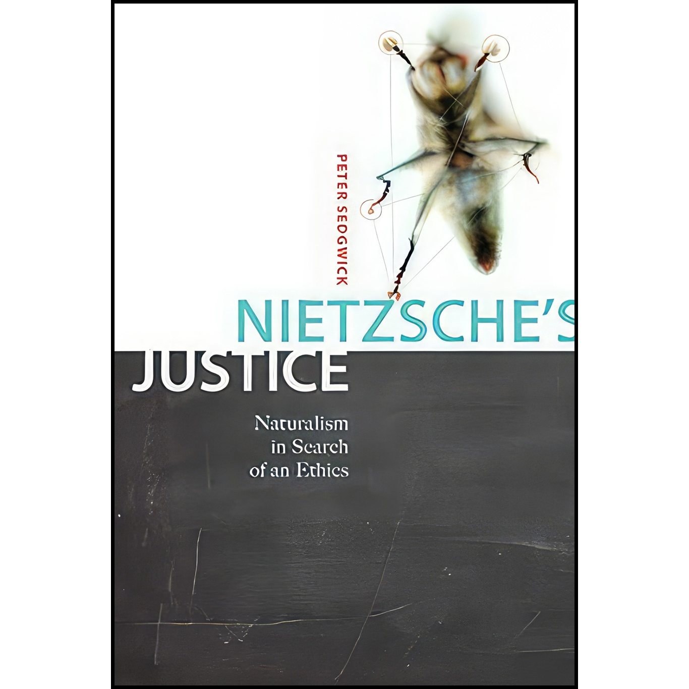 کتاب زبان اصلی Nietzsches Justice اثر Peter R Sedgwick