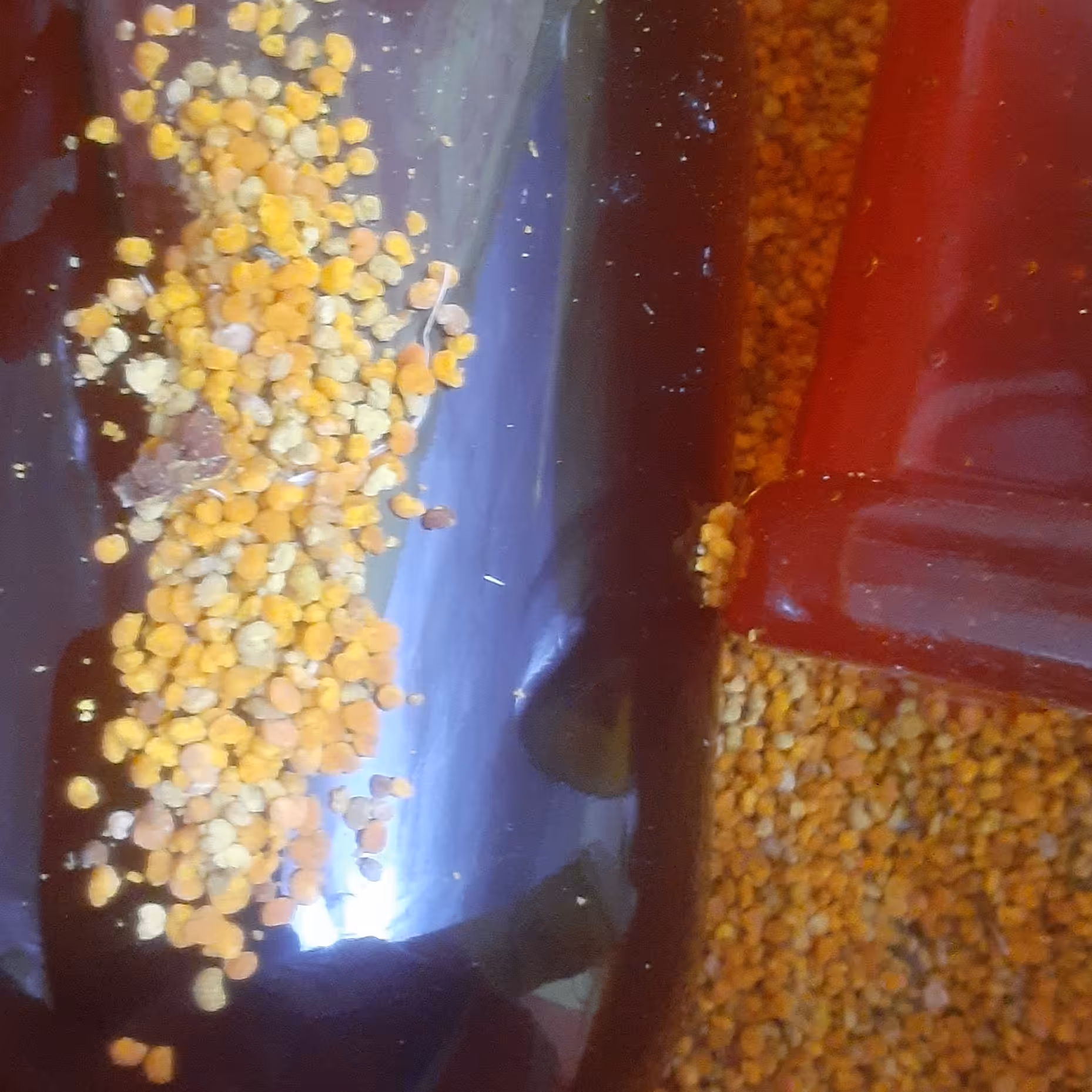 پروستات  عسل سیاه  گرده گل  ژل رویال  هاگ گل بیدمشک 