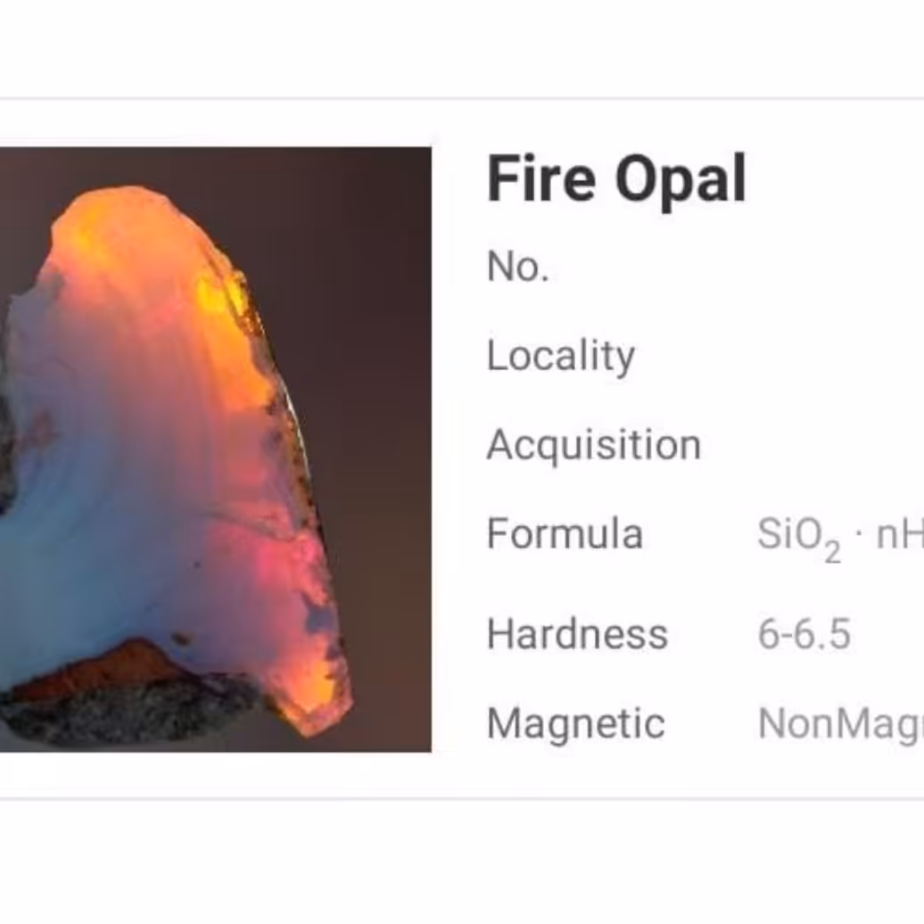 سنگ راف اپال  آتشین خاص و کلکسیونی