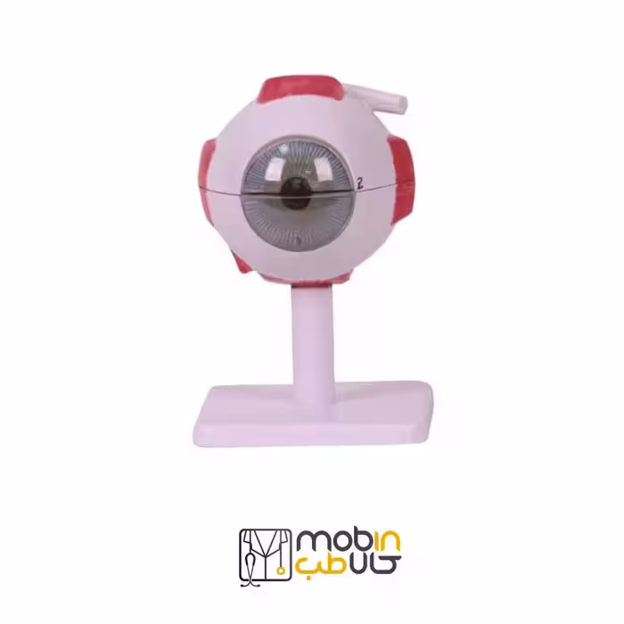 مولاژ چشم 10 برابر اندازه طبیعی