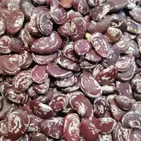 لوبیای عروس،پاک شده، به شرط پخت، خوش طعم (دادلی آذربایجان) 