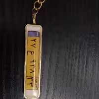 جاسوئیچی پلاک ماشین رزینی 