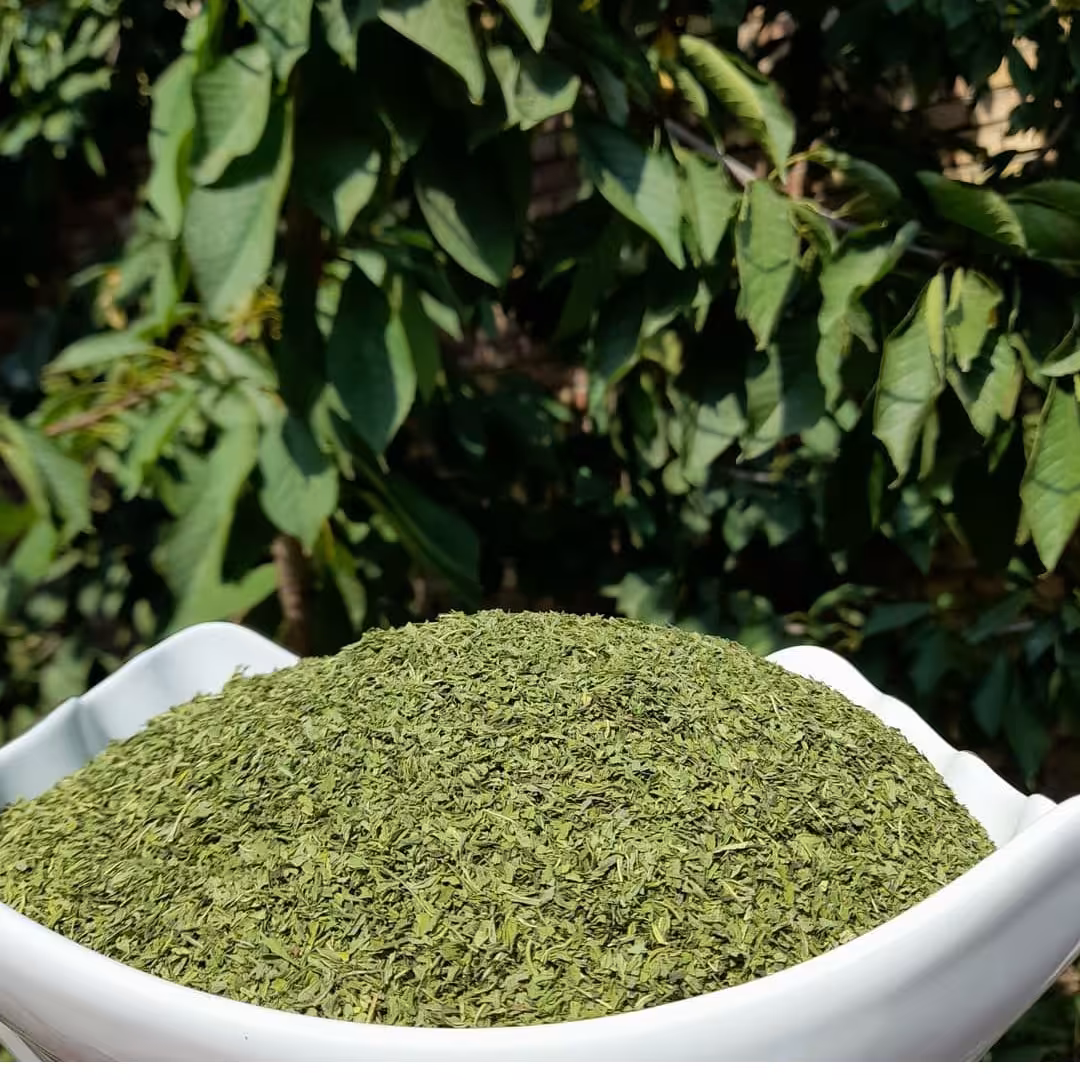 100 گرم برگ نعنا بلغور نعنا خشک فوق العاده معطر تمیز بدون خاک اعلاء