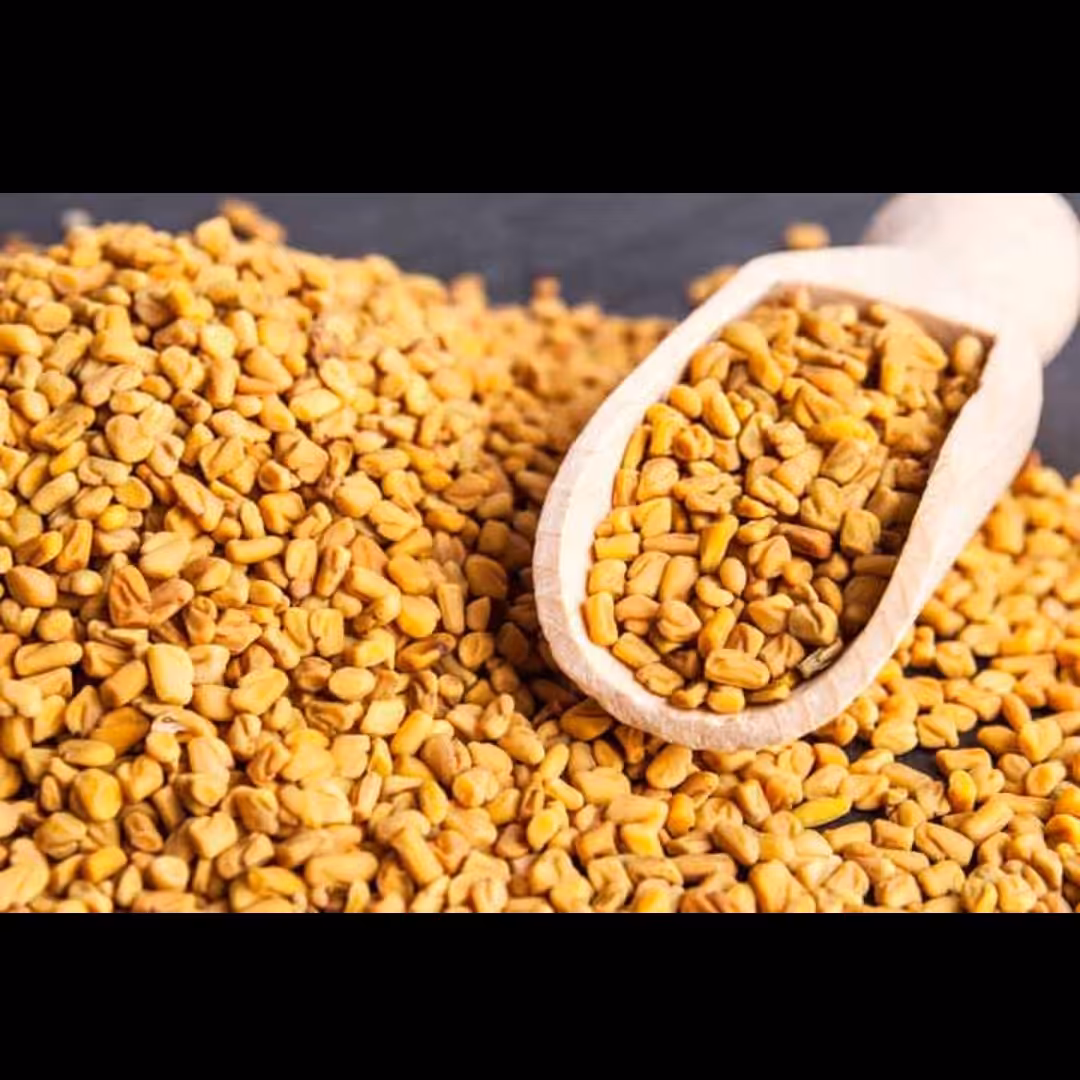 تخم شنبلیله پاک شده  اعلا   300 گرمی