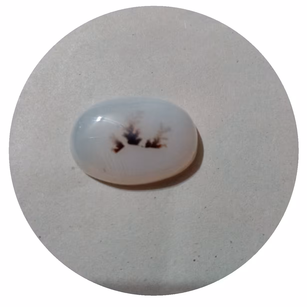 نگین شجر اصلی کد0008