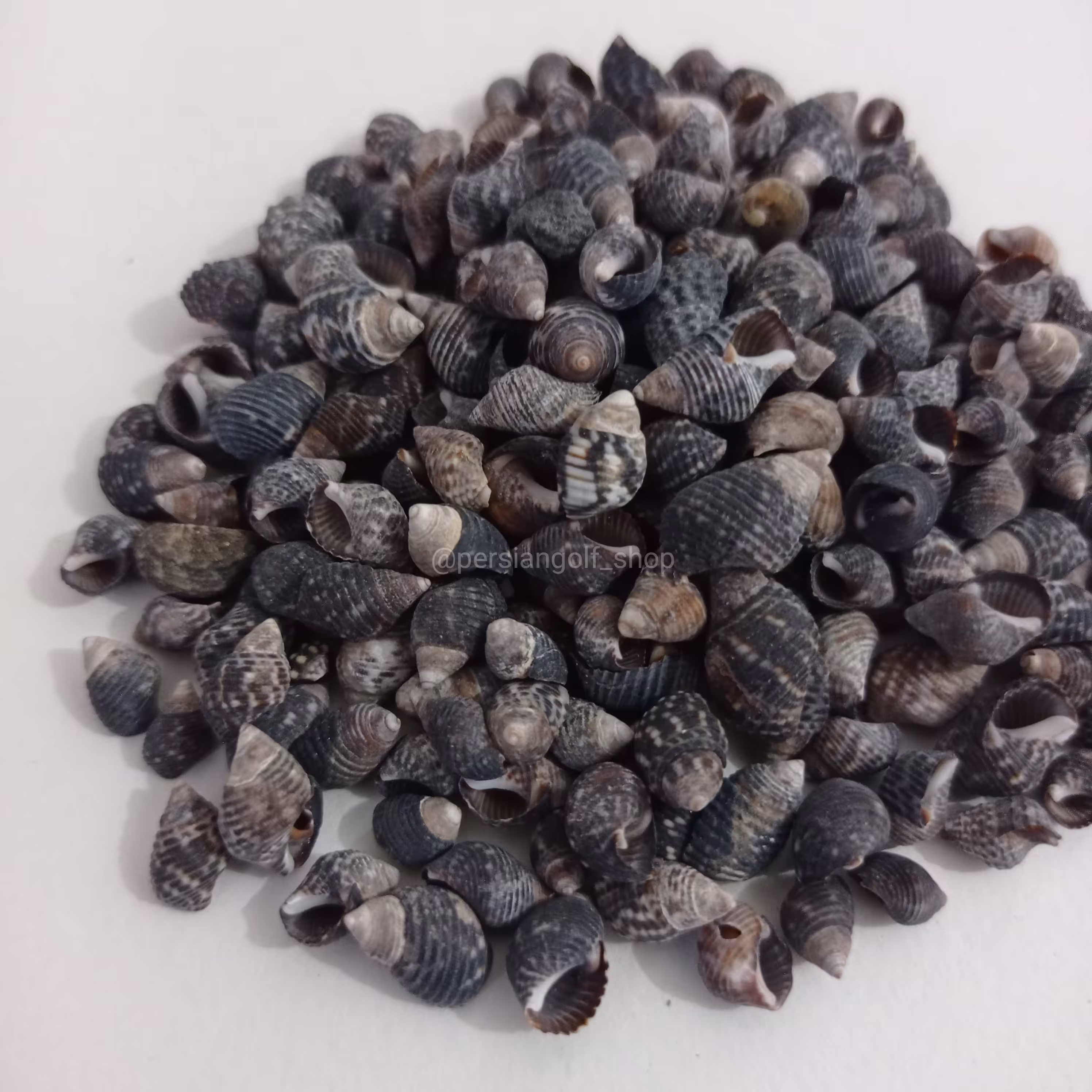 صدف مشکی ریز  مخصوص رزین سایز  نیم الی یک سانت  بسته 40 گرمی 