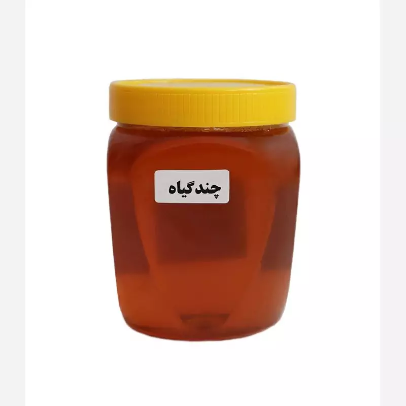 عسل چند گیاه کمک به تقویت سیستم ایمنی (یک کیلویی) | amazonchi
