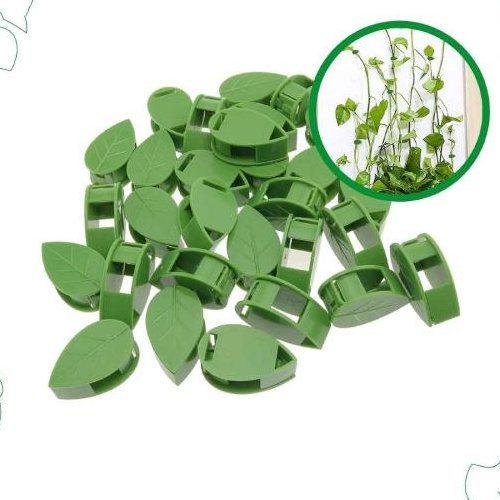 کلیپس نگهدارنده گیاه رونده 10 عددی رنگ سبز