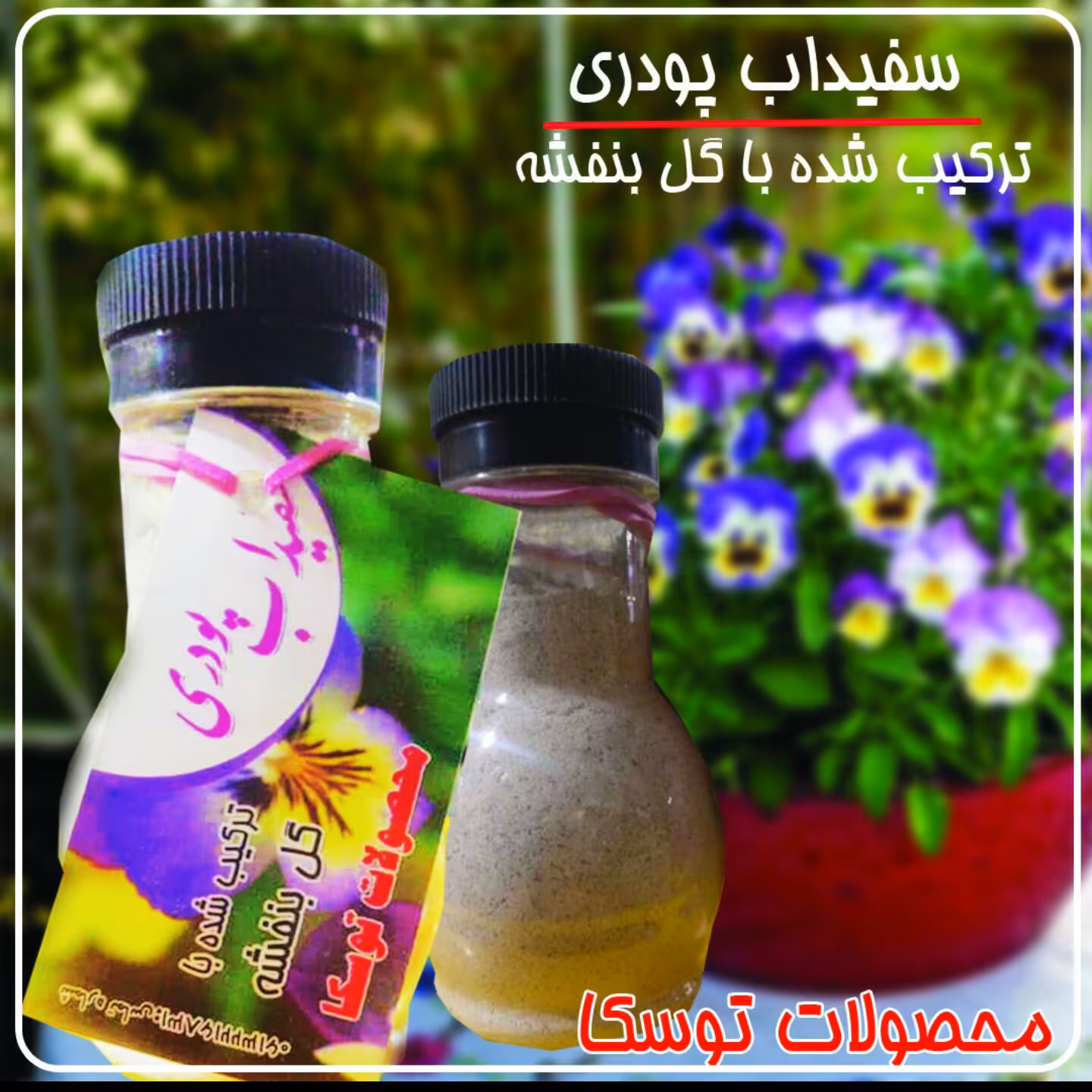 سفیداب پودری گل بنفشه