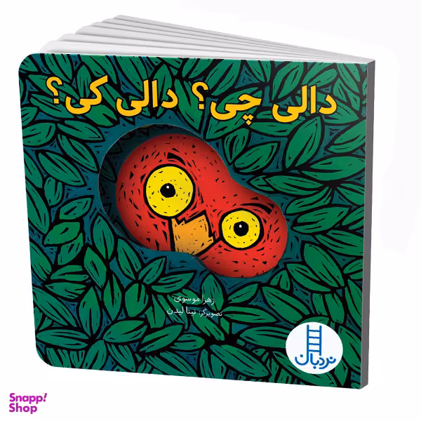 کتاب دالی چی؟ دالی کی؟ اثر نینا لیدن انتشارات نردبان