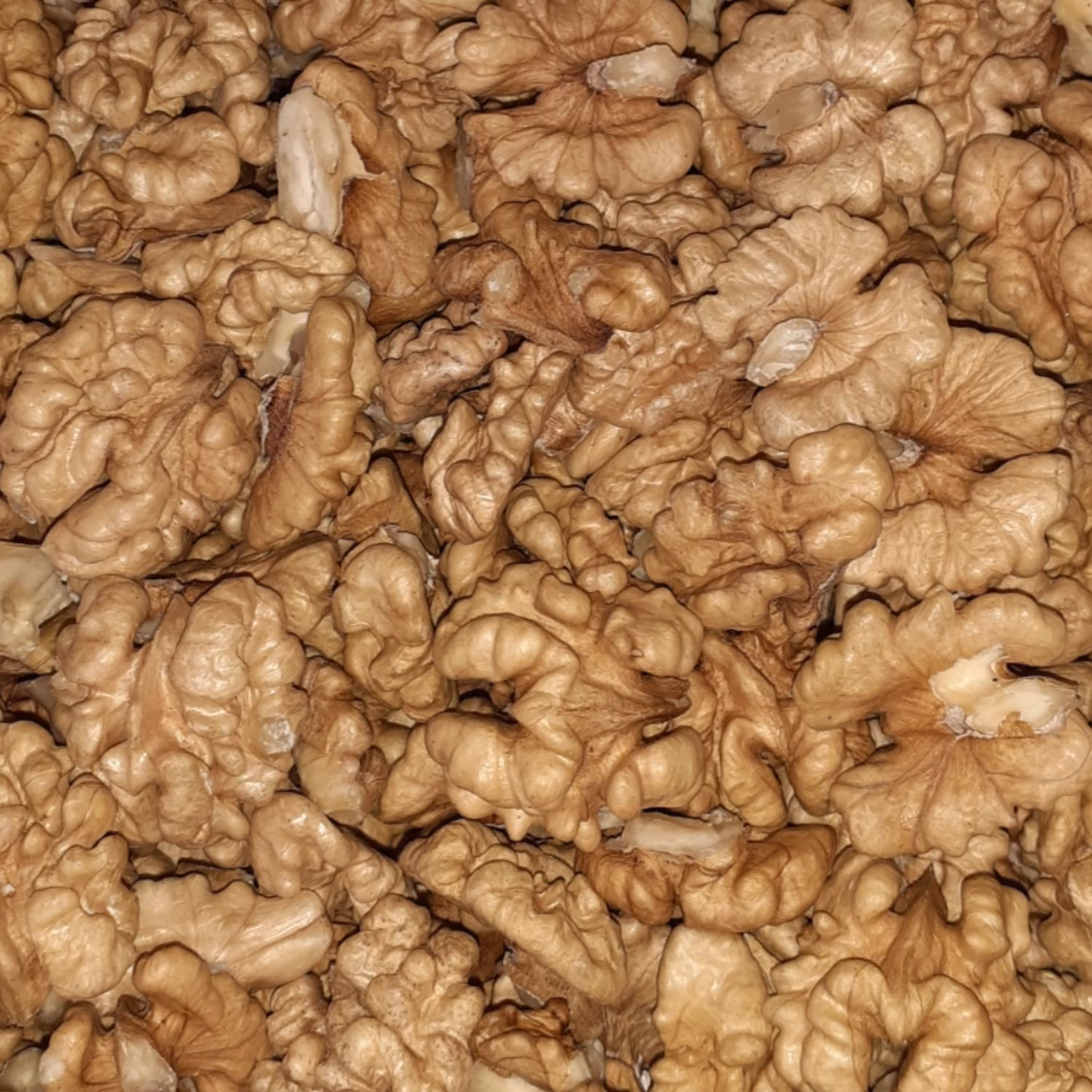 مغز گردوی سفید ایرانی محصول باغات مراغه