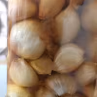 سیرترشی عالی