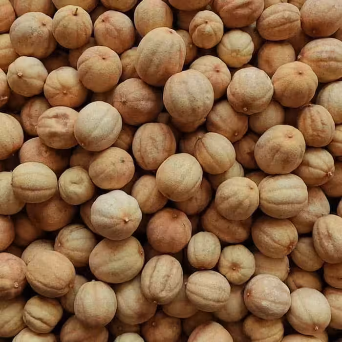 لیمو عمانی اعلا 