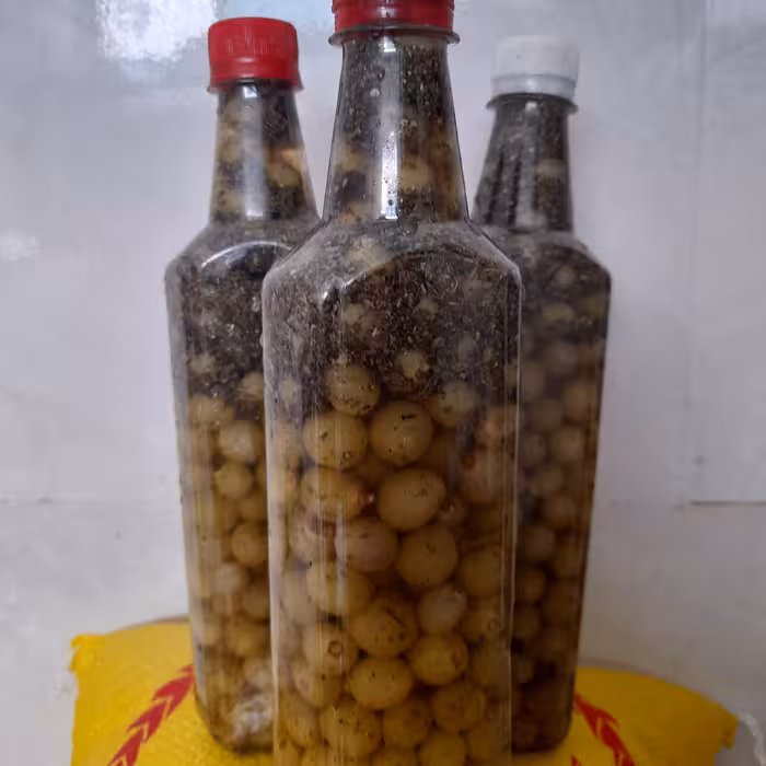 ترشی غوره (450گرمی)