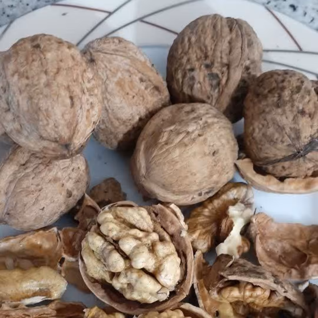 گردو  با پوست محصولی از باغات کوه دنا خوش طعم و خوش مزه 