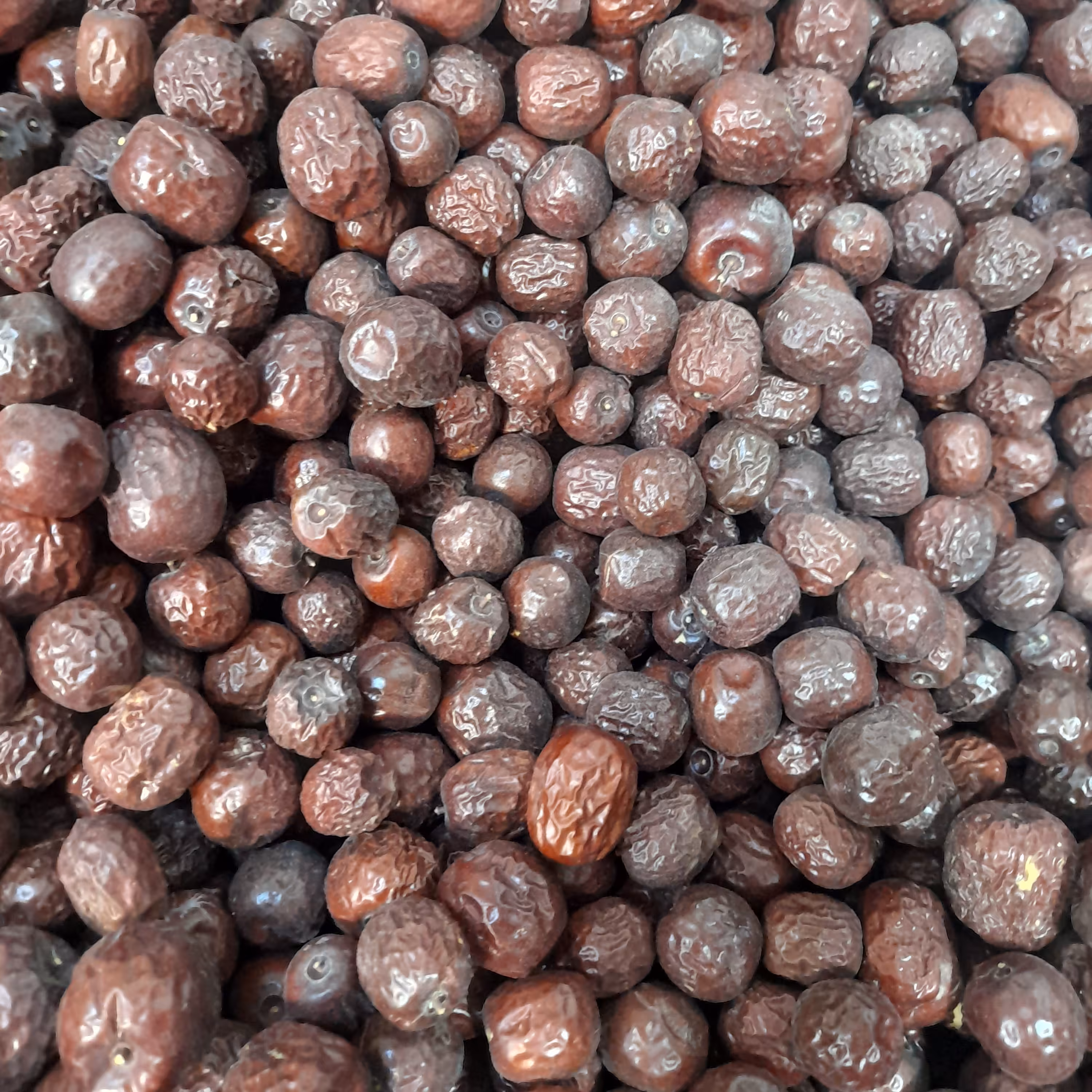 عناب درشت قائنات  فله 500گرمی