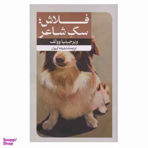 کتاب فلاش سگ شاعر اثر ویرجینیا وولف نشر امیرکبیر