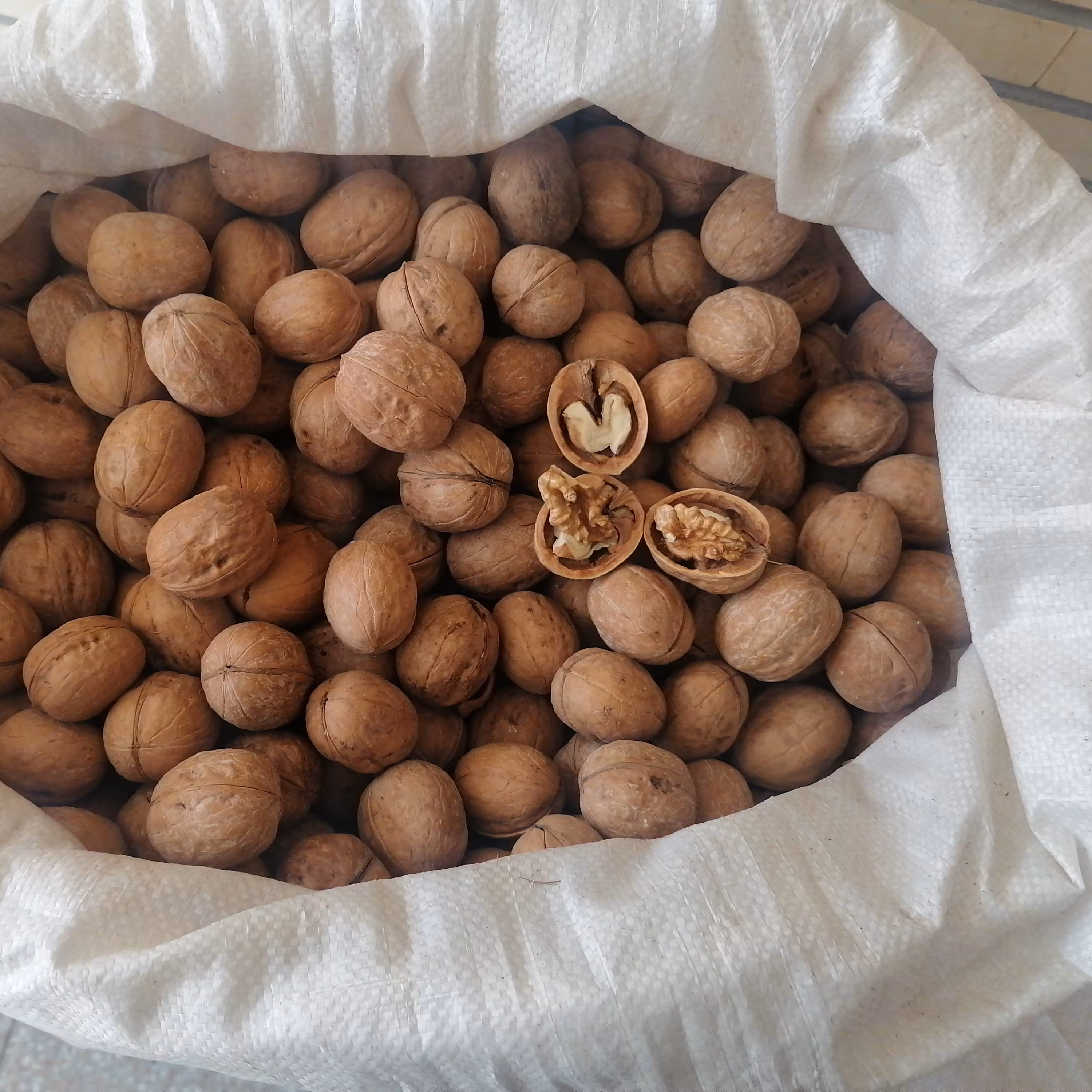 گردو پوست کاغذی 1 کیلو گرمی 