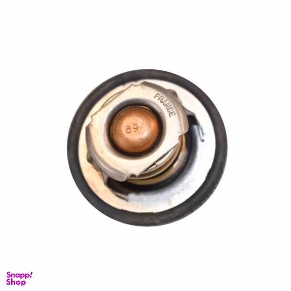 ترموستات رنو کد 8200772985 مناسب ال 90