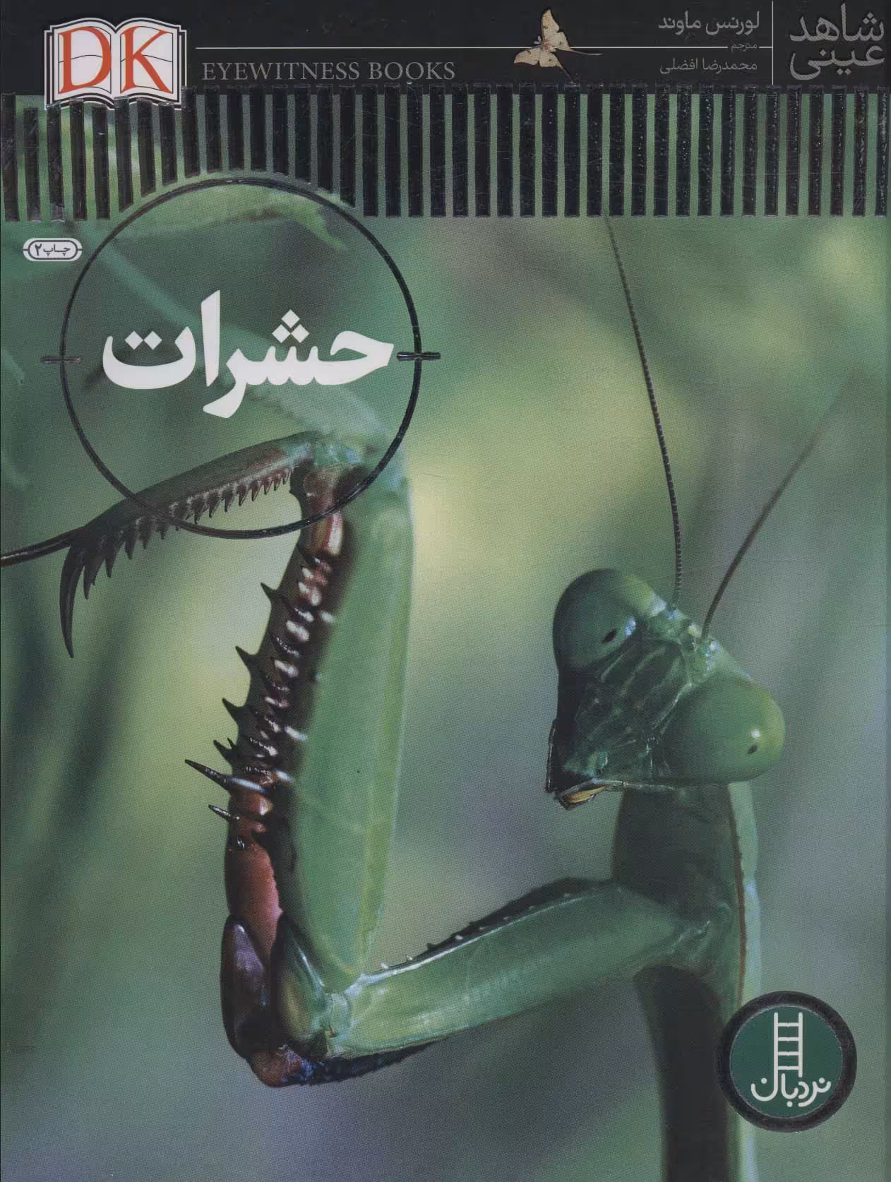 کتاب حشرات شاهد عینی نشر نردبان
