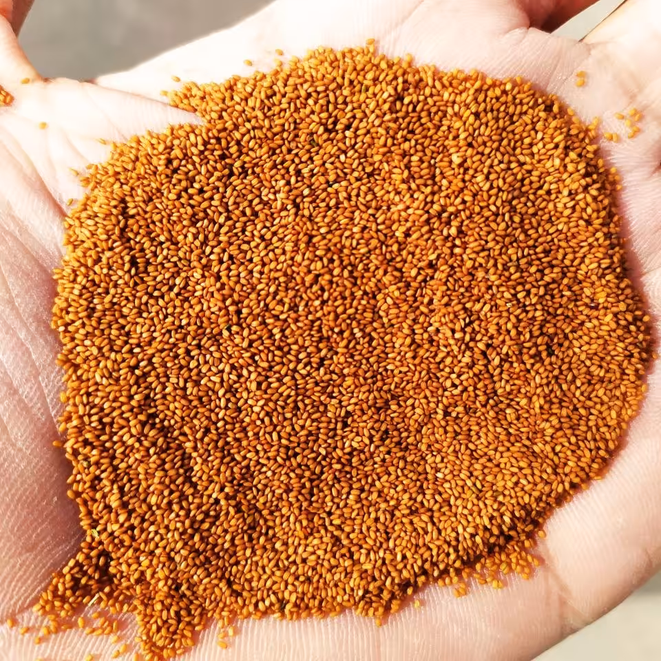 خاکشیر سوپر لوکس