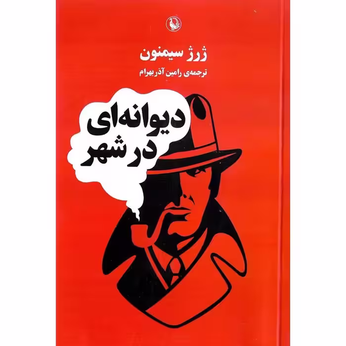 دیوانه ای در شهر