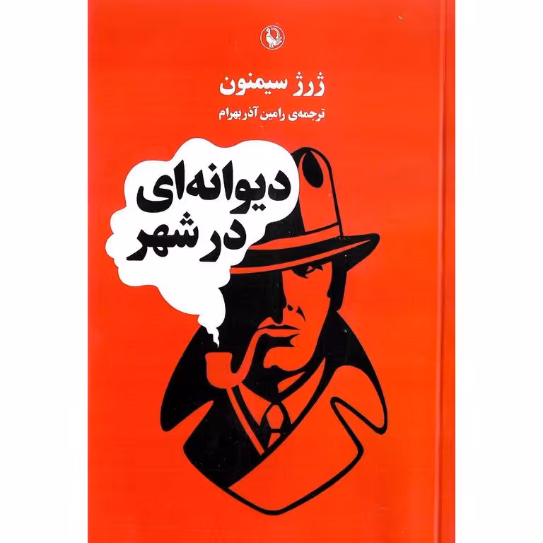 دیوانه ای در شهر