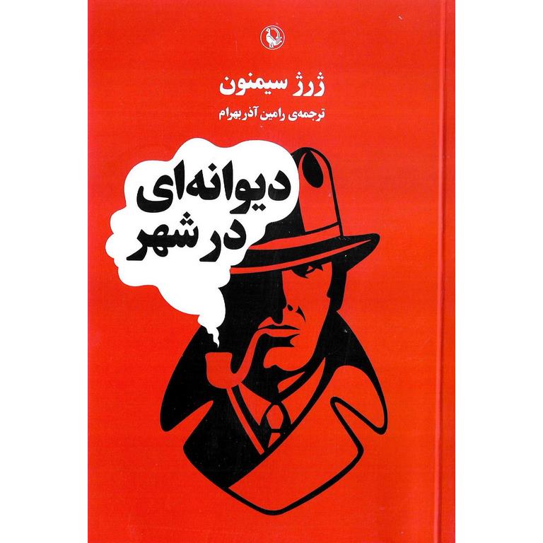 دیوانه ای در شهر