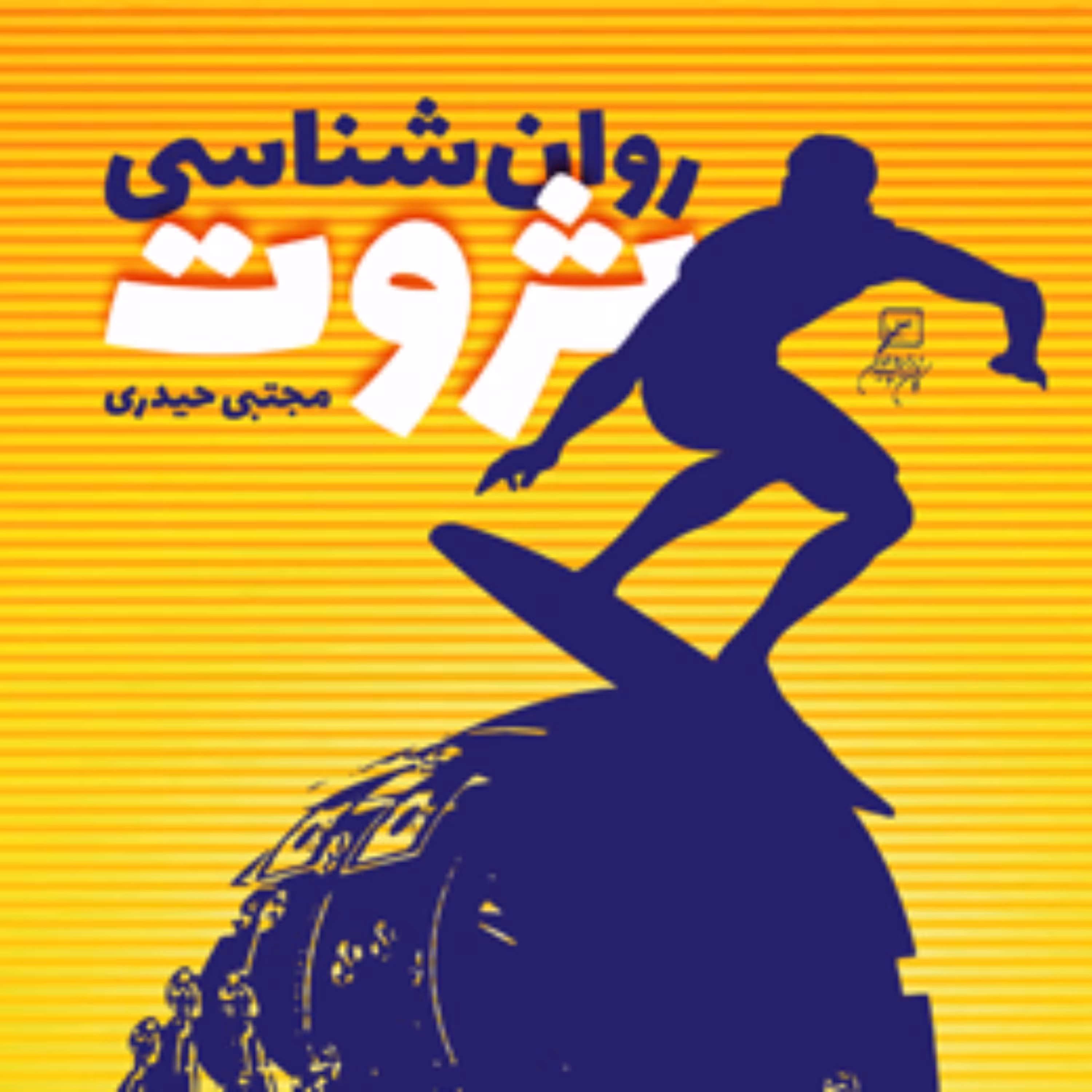 کتاب روان شناسی ثروت اثر مجتبی حیدری
