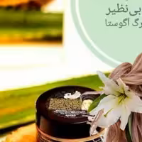 کرم آبرسان اگوستا