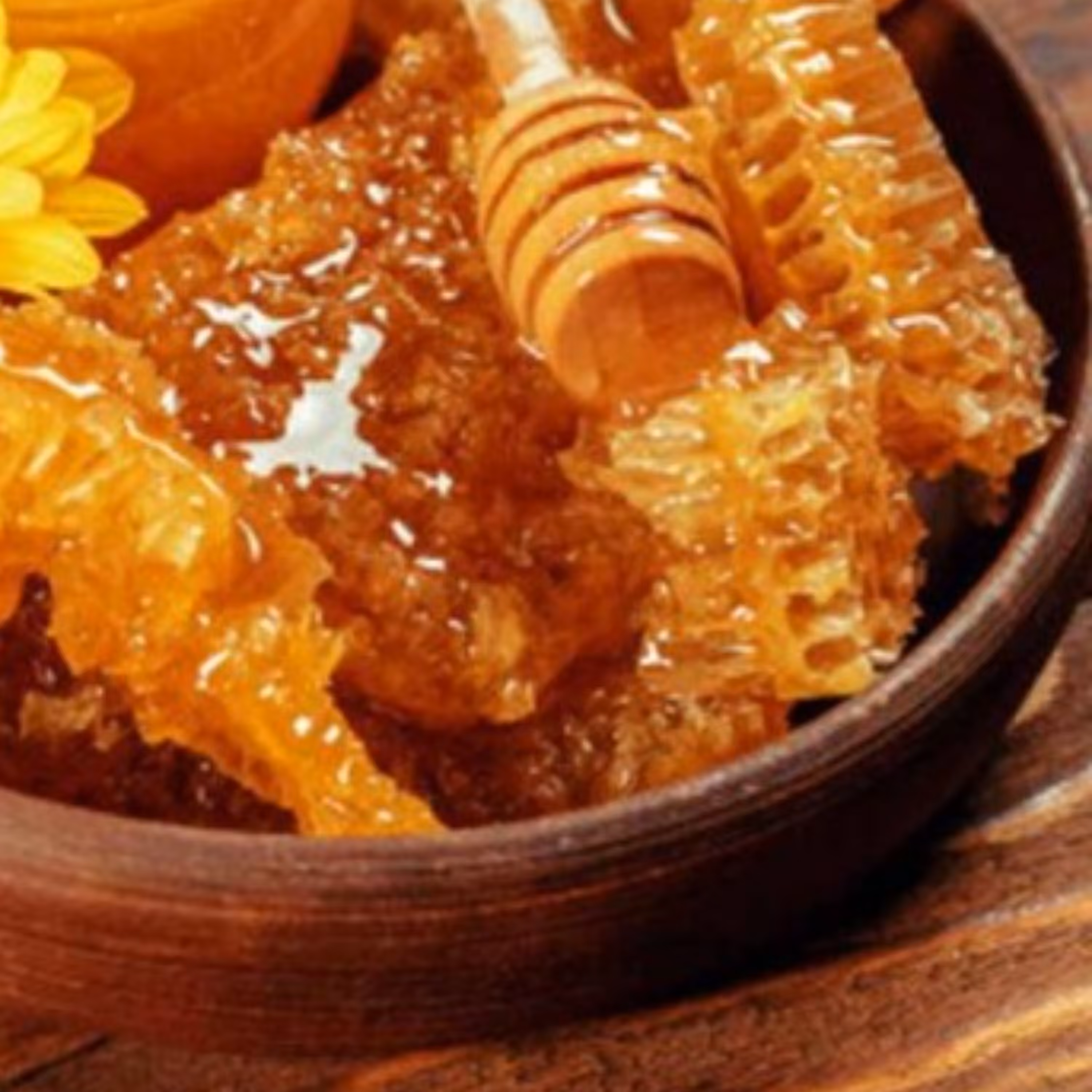 عسل سبدی اورگانیک 100 درصد طبیعی