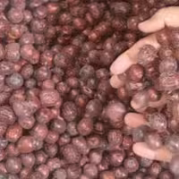 عناب شیرین درجه یک حلیمه بانو  یک کیلویی