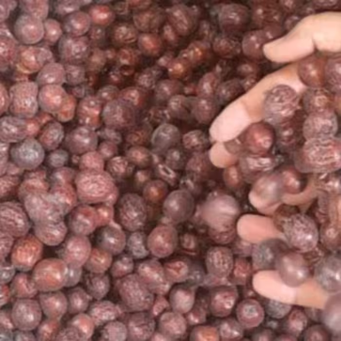 عناب شیرین درجه یک حلیمه بانو  یک کیلویی