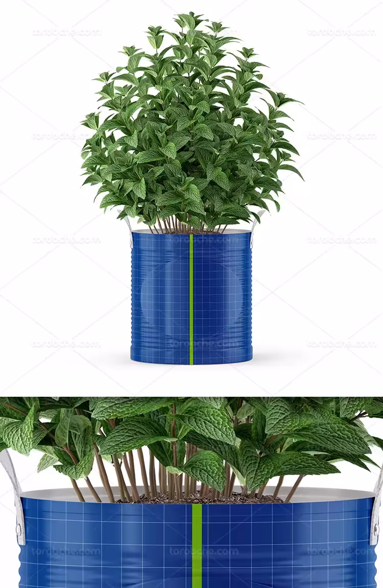 موکاپ ظرف کاشت نعنا | گرافیک با طعم تربچه