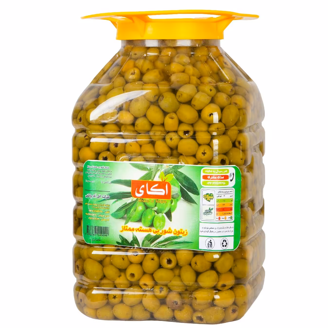 زیتون شور بی هسته لوکس( پت 10 کیلویی)